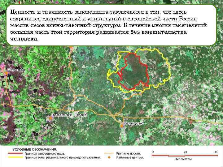 Карта лесной массив киев