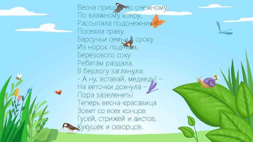 Весна пришла по снежному, По влажному ковру, Рассыпала подснежники, Посеяла траву. Барсучьи семьи к