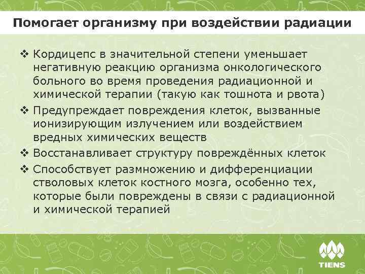 Помогает организму при воздействии радиации v Кордицепс в значительной степени уменьшает негативную реакцию организма