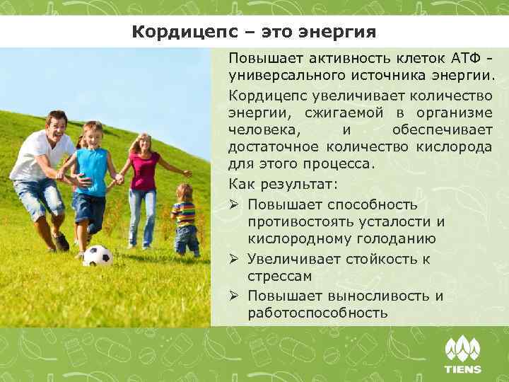 Кордицепс – это энергия Повышает активность клеток АТФ - универсального источника энергии. Кордицепс увеличивает