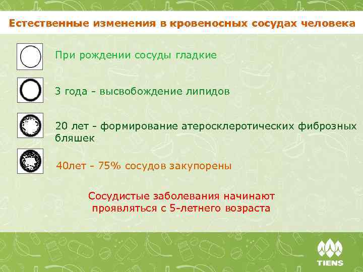 Естественные изменения в кровеносных сосудах человека При рождении сосуды гладкие 3 года - высвобождение