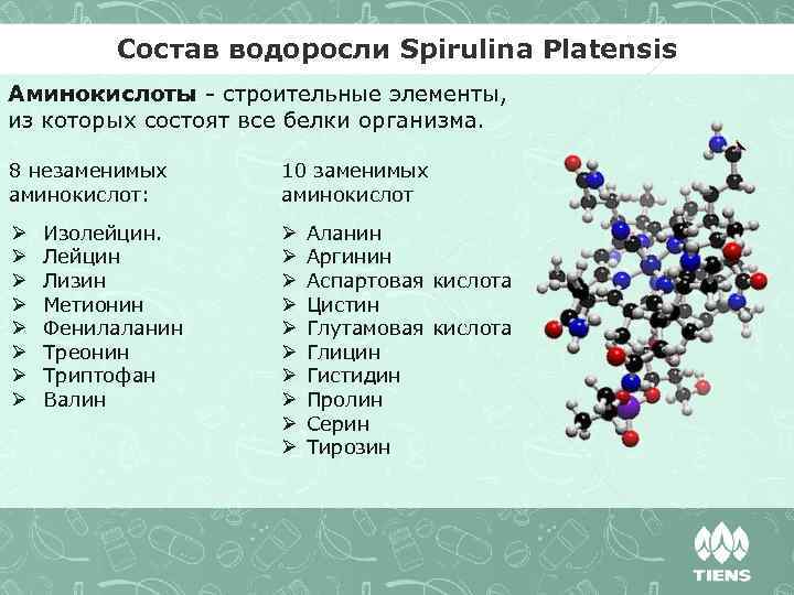 Состав водоросли Spirulina Platensis Аминокислоты - строительные элементы, из которых состоят все белки организма.