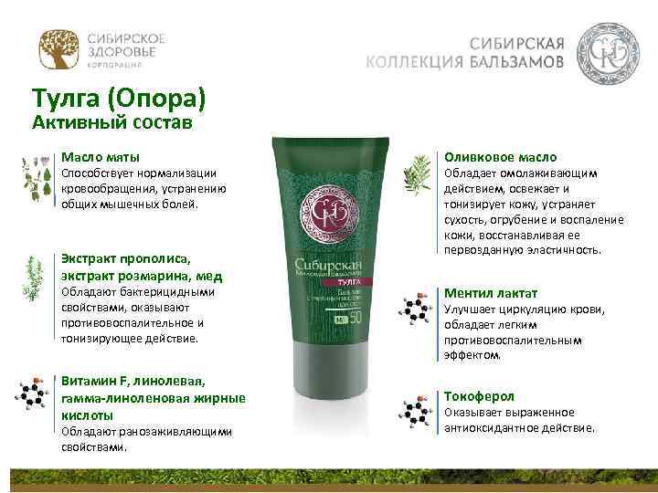Тулга (Опора) Активный состав Масло мяты Способствует нормализации кровообращения, устранению общих мышечных болей. Экстракт