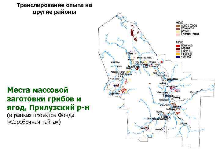 Транслирование опыта на другие районы Места массовой заготовки грибов и ягод, Прилузский р-н (в