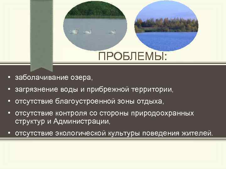 ПРОБЛЕМЫ: • заболачивание озера, • загрязнение воды и прибрежной территории, • отсутствие благоустроенной зоны