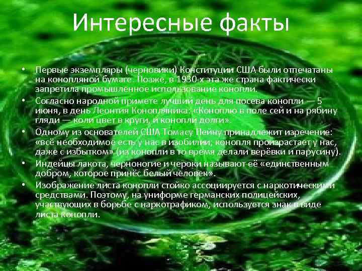 Интересные факты • Первые экземпляры (черновики) Конституции США были отпечатаны на конопляной бумаге. Позже,