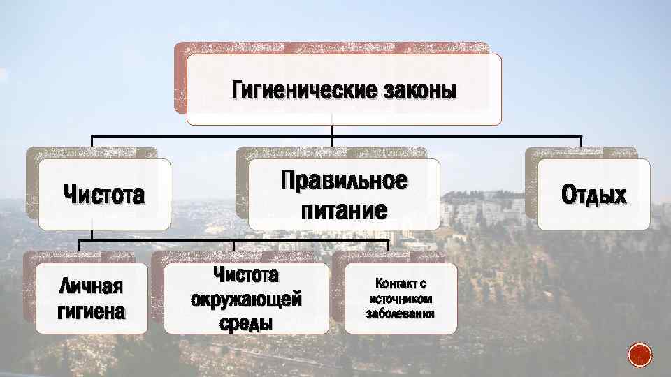 Гигиенические законы Чистота Личная гигиена Правильное питание Чистота окружающей среды Контакт с источником заболевания