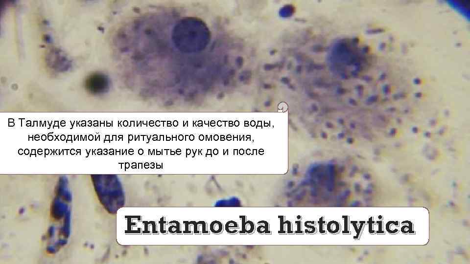 В Талмуде указаны количество и качество воды, необходимой для ритуального омовения, содержится указание о