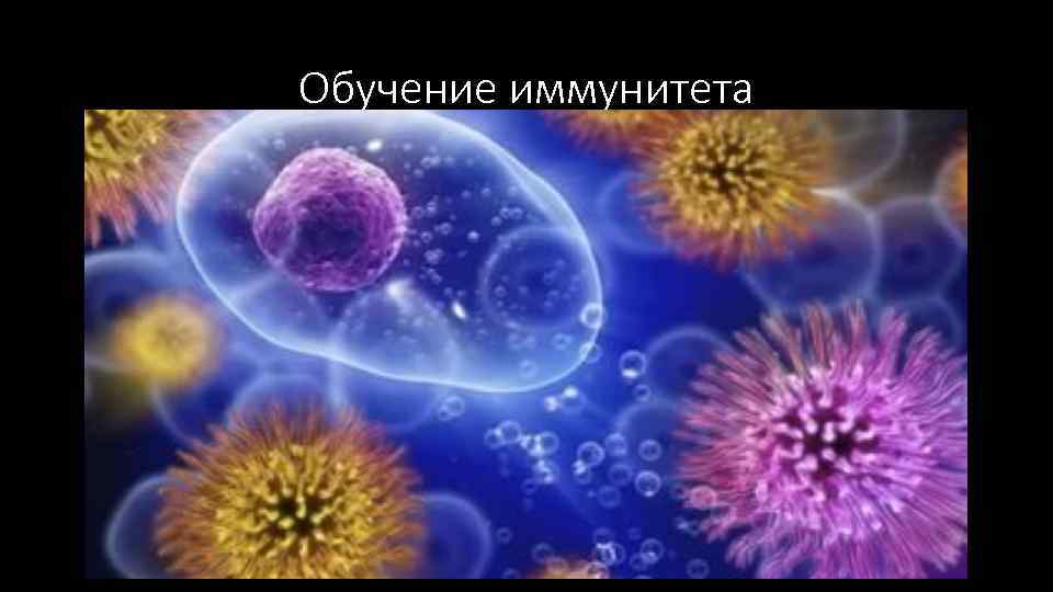 Обучение иммунитета 