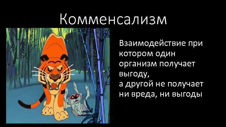 Комменсализм Взаимодействие при котором один организм получает выгоду, а другой не получает ни вреда,