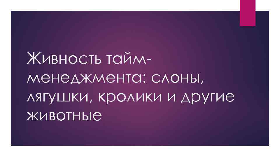 Живность таймменеджмента: слоны, лягушки, кролики и другие животные 