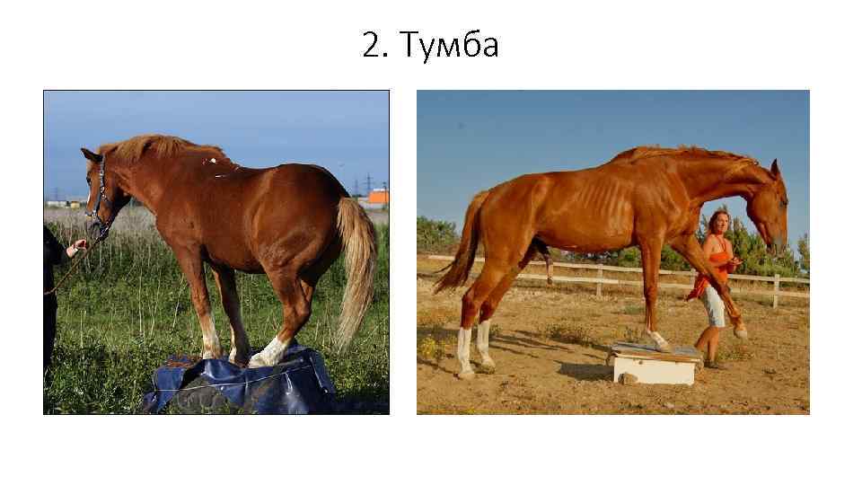 2. Тумба 