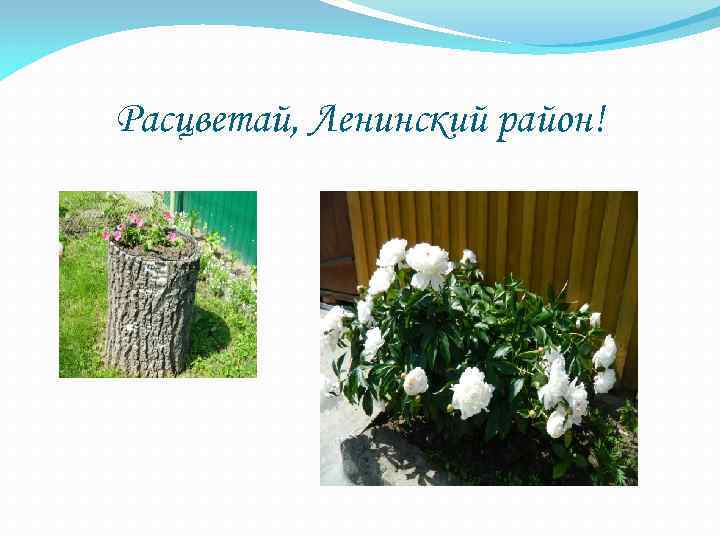 Расцветай, Ленинский район! 