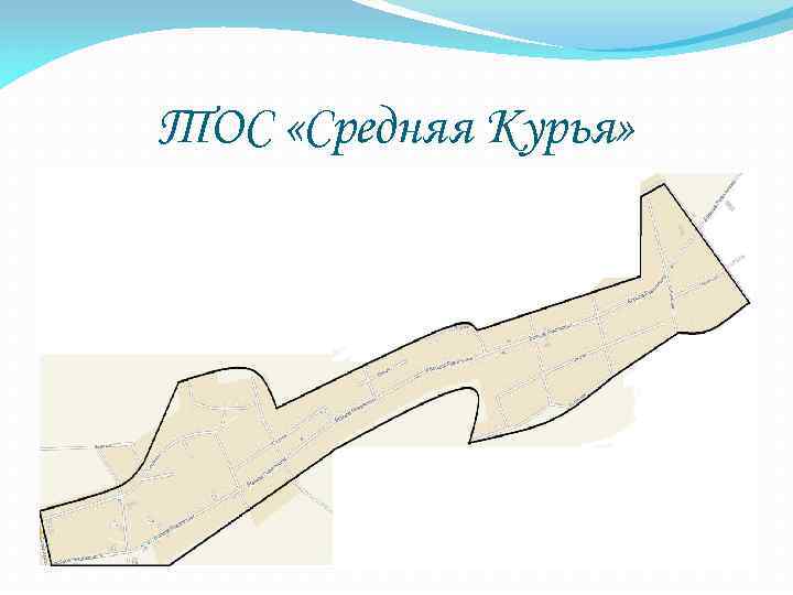 ТОС «Средняя Курья» 