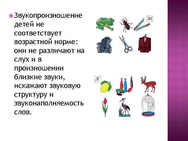  Звукопроизношение детей не соответствует возрастной норме: они не различают на слух и в