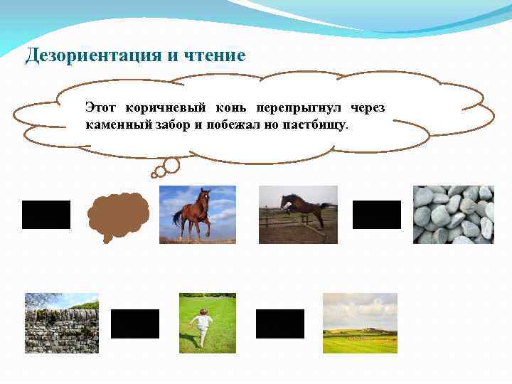 Дезориентация и чтение Этот коричневый конь перепрыгнул через каменный забор и побежал но пастбищу.