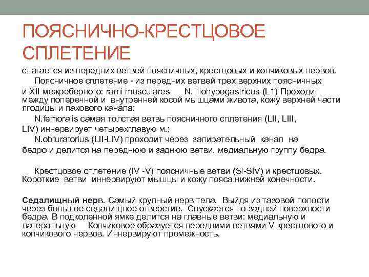 ПОЯСНИЧНО-КРЕСТЦОВОЕ СПЛЕТЕНИЕ слагается из передних ветвей поясничных, крестцовых и копчиковых нервов. Поясничное сплетение -