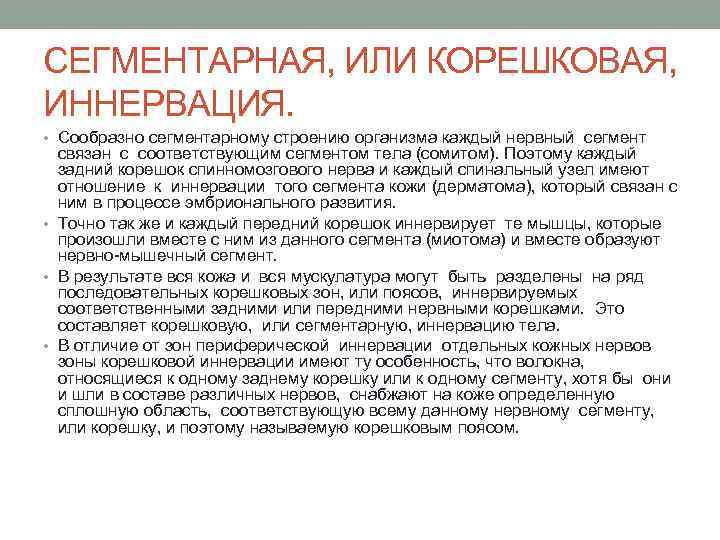 СЕГМЕНТАРНАЯ, ИЛИ КОРЕШКОВАЯ, ИННЕРВАЦИЯ. • Сообразно сегментарному строению организма каждый нервный сегмент связан с