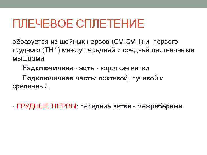 ПЛЕЧЕВОЕ СПЛЕТЕНИЕ образуется из шейных нервов (CV-CVIII) и первого грудного (TH 1) между передней