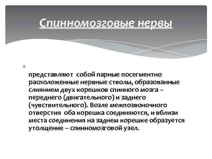 Спинномозговые нервы представляют собой парные посегментно расположенные нервные стволы, образованные слиянием двух корешков спинного