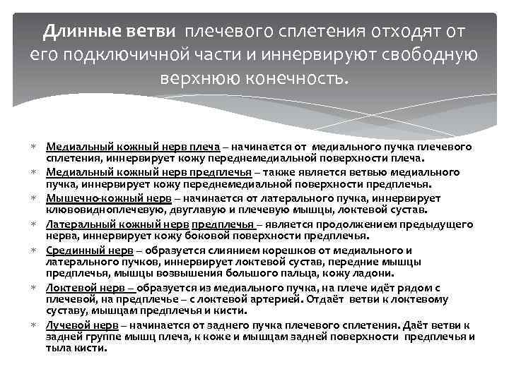 Длинные ветви плечевого сплетения отходят от его подключичной части и иннервируют свободную верхнюю конечность.