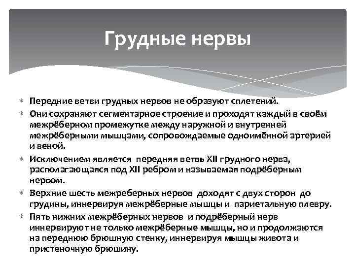 Грудные нервы Передние ветви грудных нервов не образуют сплетений. Они сохраняют сегментарное строение и