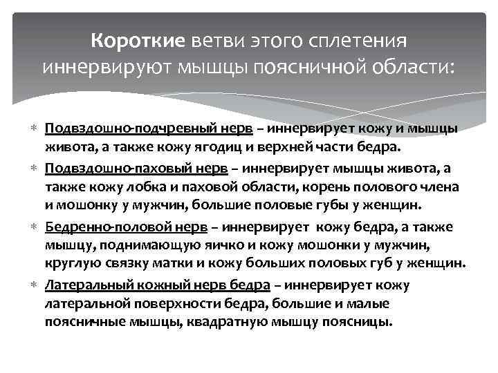 Короткие ветви этого сплетения иннервируют мышцы поясничной области: Подвздошно-подчревный нерв – иннервирует кожу и