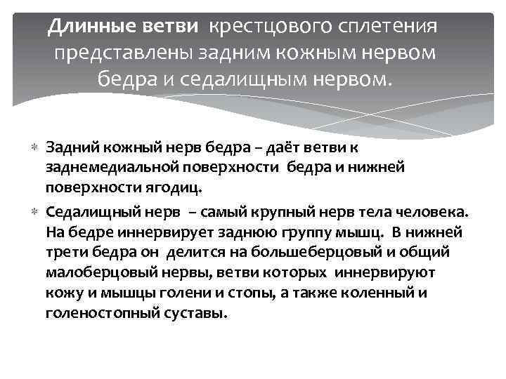 Длинные ветви крестцового сплетения представлены задним кожным нервом бедра и седалищным нервом. Задний кожный