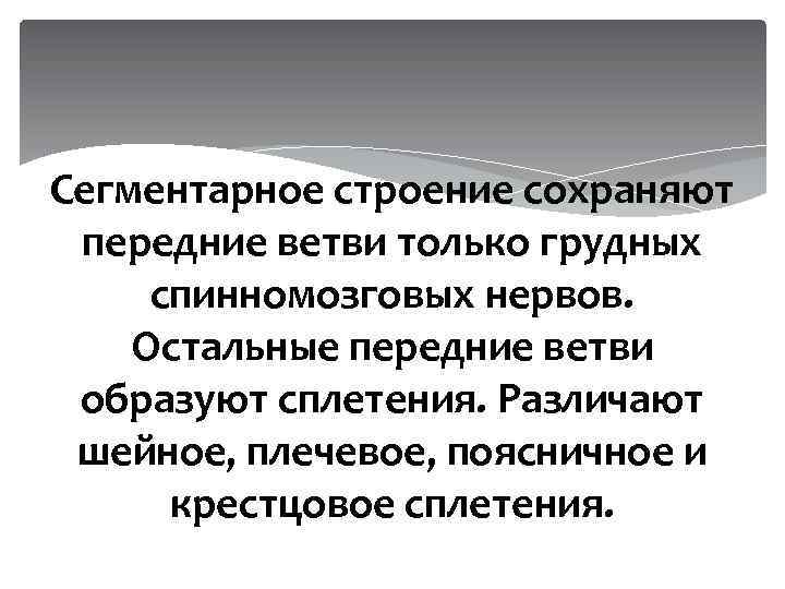 Сегментарное строение сохраняют передние ветви только грудных спинномозговых нервов. Остальные передние ветви образуют сплетения.