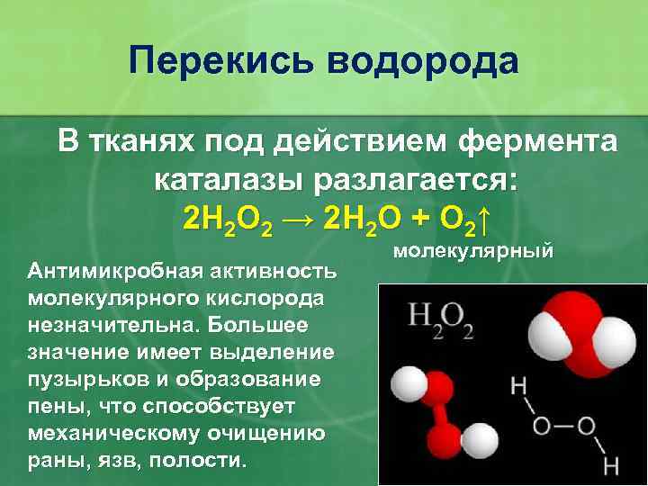 Перекись водорода В тканях под действием фермента каталазы разлагается: 2 Н 2 O 2