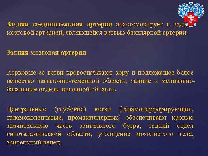 Задняя соединительная артерия анастомозирует с задней мозговой артерией, являющейся ветвью базилярной артерии. Задняя мозговая