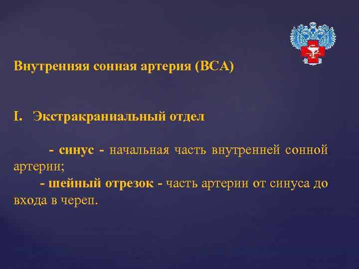 Внутренняя сонная артерия (ВСА) I. Экстракраниальный отдел - синус - начальная часть внутренней сонной