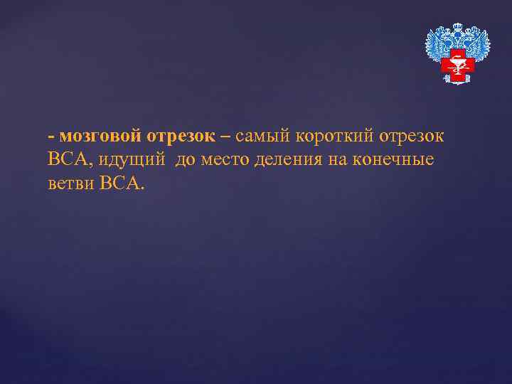 - мозговой отрезок – самый короткий отрезок ВСА, идущий до место деления на конечные
