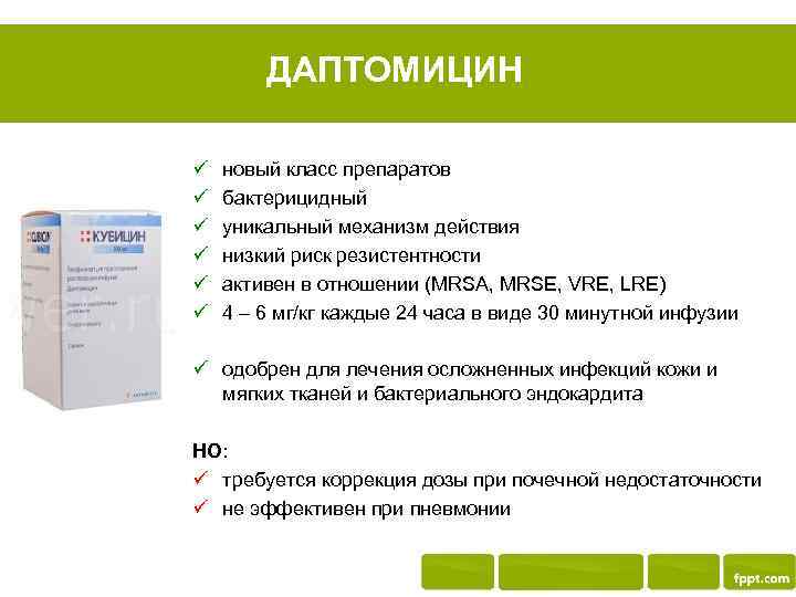 ДАПТОМИЦИН ü ü ü новый класс препаратов бактерицидный уникальный механизм действия низкий риск резистентности