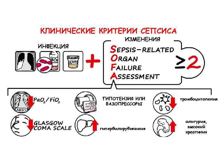 КЛИНИЧЕСКИЕ КРИТЕРИИ СЕПСИСА ИНФЕКЦИЯ ИЗМЕНЕНИЯ ГИПОТЕНЗИЯ ИЛИ ВАЗОПРЕССОРЫ гипербилирубинемия тромбоцитопения олигурия, высокий креатинин 