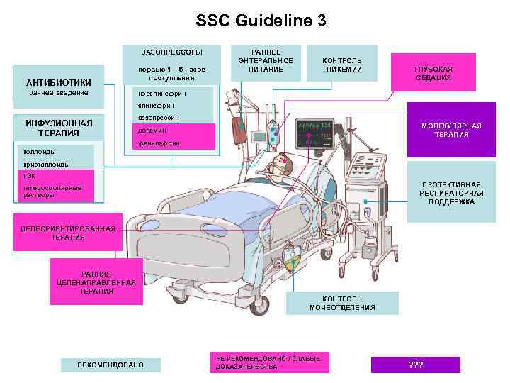 SSC Guideline 3 ВАЗОПРЕССОРЫ АНТИБИОТИКИ раннее введение первые 1 – 6 часов поступления РАННЕЕ