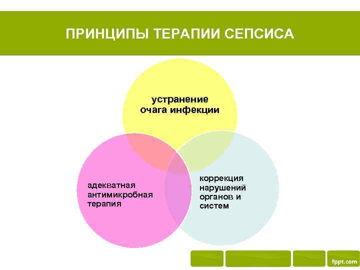 ПРИНЦИПЫ ТЕРАПИИ СЕПСИСА устранение очага инфекции адекватная антимикробная терапия коррекция нарушений органов и систем