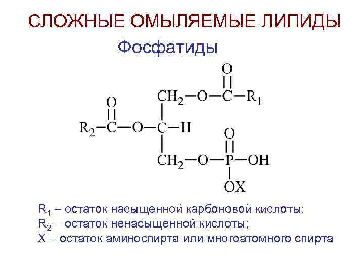 СЛОЖНЫЕ ОМЫЛЯЕМЫЕ ЛИПИДЫ Фосфатиды R 1 остаток насыщенной карбоновой кислоты; R 2 остаток ненасыщенной