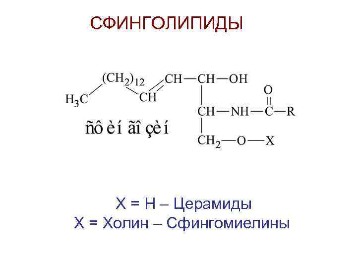 Церамиды что это. Сфингомиелин формула биохимия. Церамиды и Сфинголипиды. Сфингозина церамид формула. Щелочной гидролиз сфингомиелина реакция.