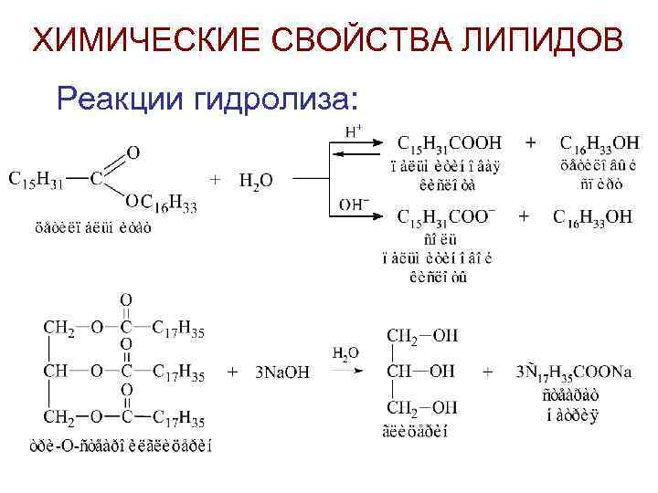ХИМИЧЕСКИЕ СВОЙСТВА ЛИПИДОВ Реакции гидролиза: 