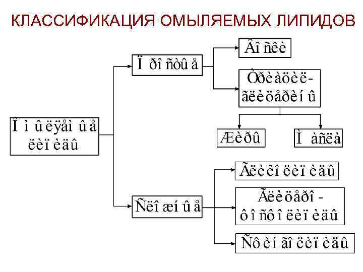 КЛАССИФИКАЦИЯ ОМЫЛЯЕМЫХ ЛИПИДОВ 