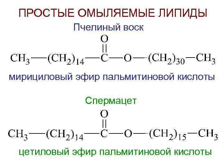ПРОСТЫЕ ОМЫЛЯЕМЫЕ ЛИПИДЫ Пчелиный воск мирициловый эфир пальмитиновой кислоты Спермацет цетиловый эфир пальмитиновой кислоты