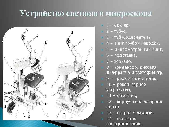 Устройство светового микроскопа 1 - окуляр, 2 - тубус, 3 - тубусодержатель, 4 -