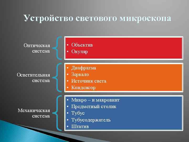Устройство светового микроскопа Оптическая система • Объектив • Окуляр Осветительная система • • Диафрагма
