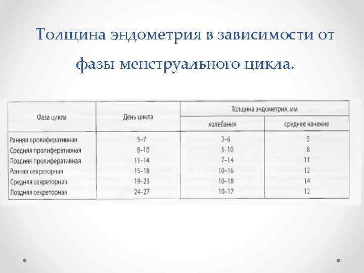 Толщина эндометрия в зависимости от фазы менструального цикла. 