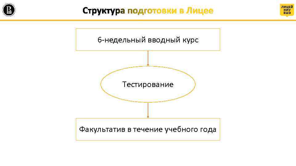 Структура подготовки в Лицее 6 -недельный вводный курс Тестирование Факультатив в течение учебного года