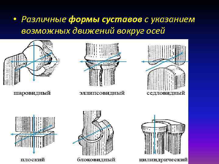 Классификация суставов схема