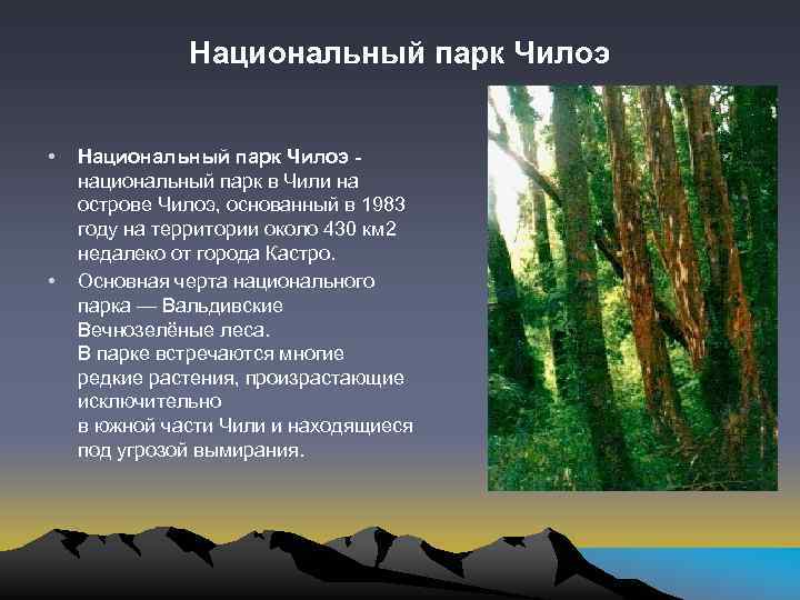 Национальный парк Чилоэ • • Национальный парк Чилоэ национальный парк в Чили на острове