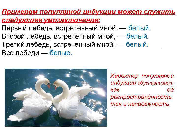 Примером популярной индукции может служить следующее умозаключение: Первый лебедь, встреченный мной, — белый. Второй