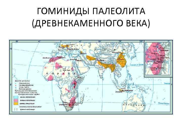 ГОМИНИДЫ ПАЛЕОЛИТА (ДРЕВНЕКАМЕННОГО ВЕКА) 